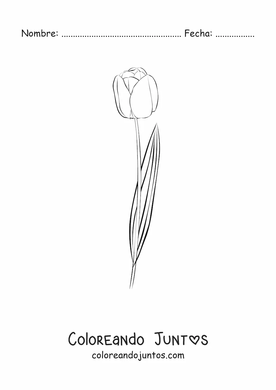 Imagen para colorear de un tulipán pequeño con una hoja