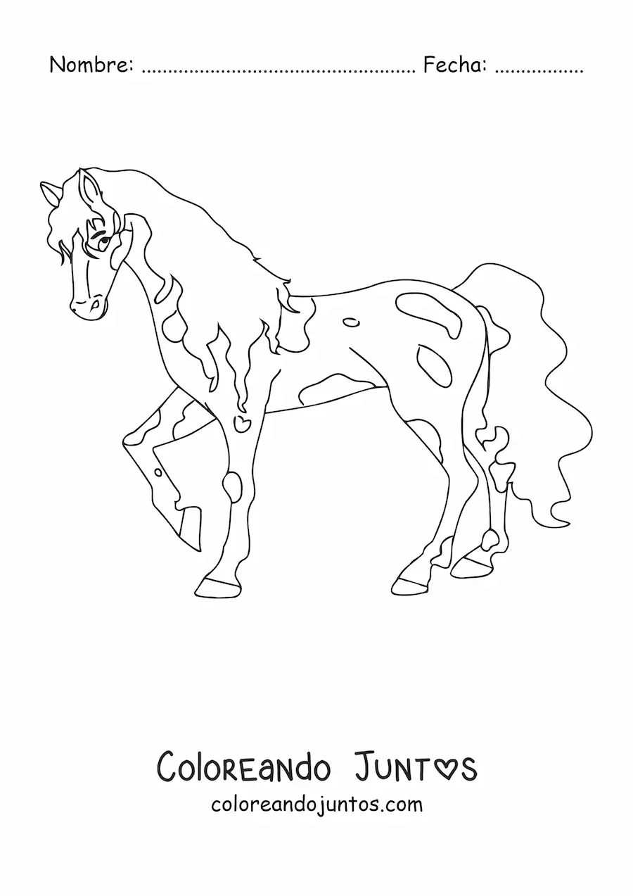 Imagen para colorear de un caballo con manchas levantando una pata