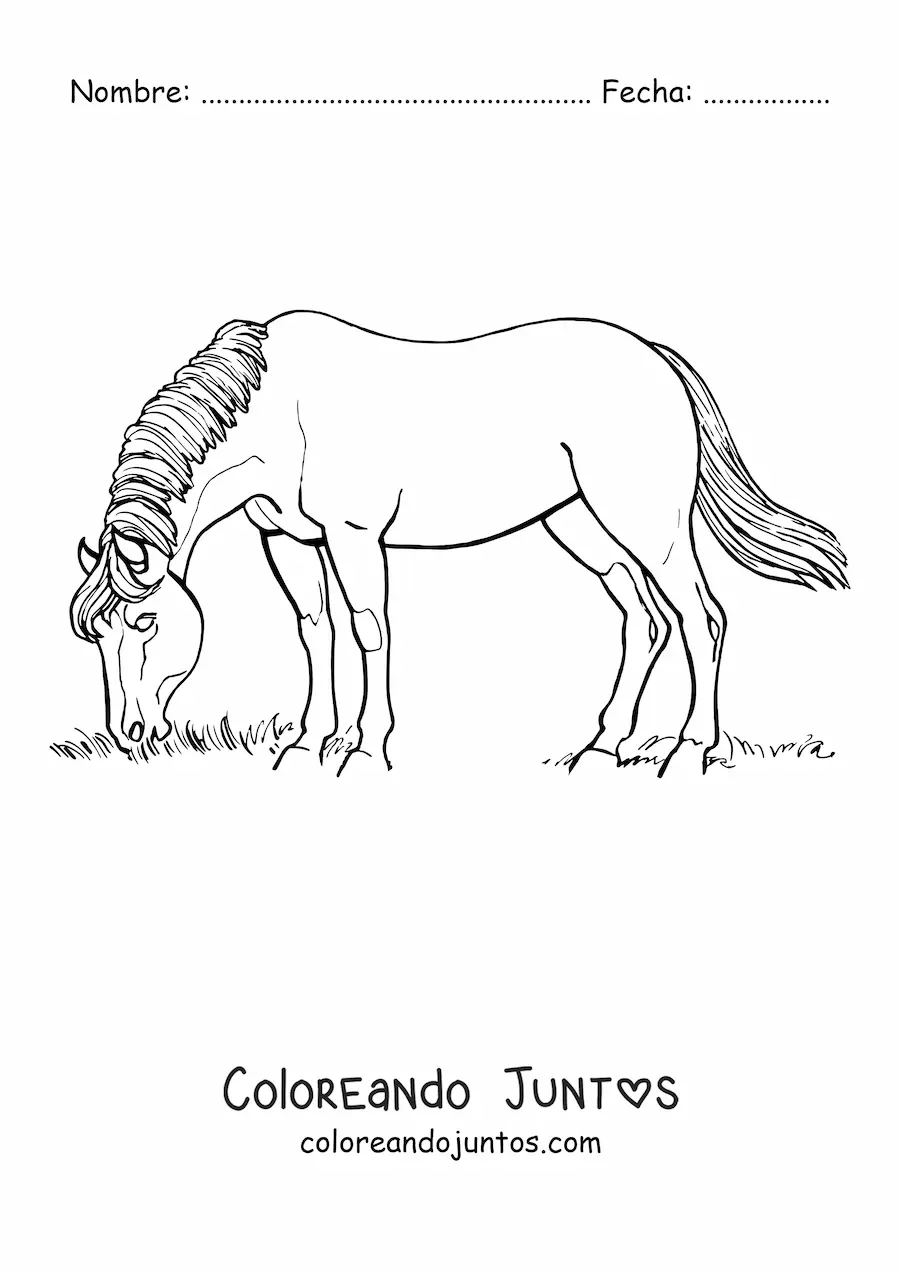 Imagen para colorear de un caballo pastando en el campo