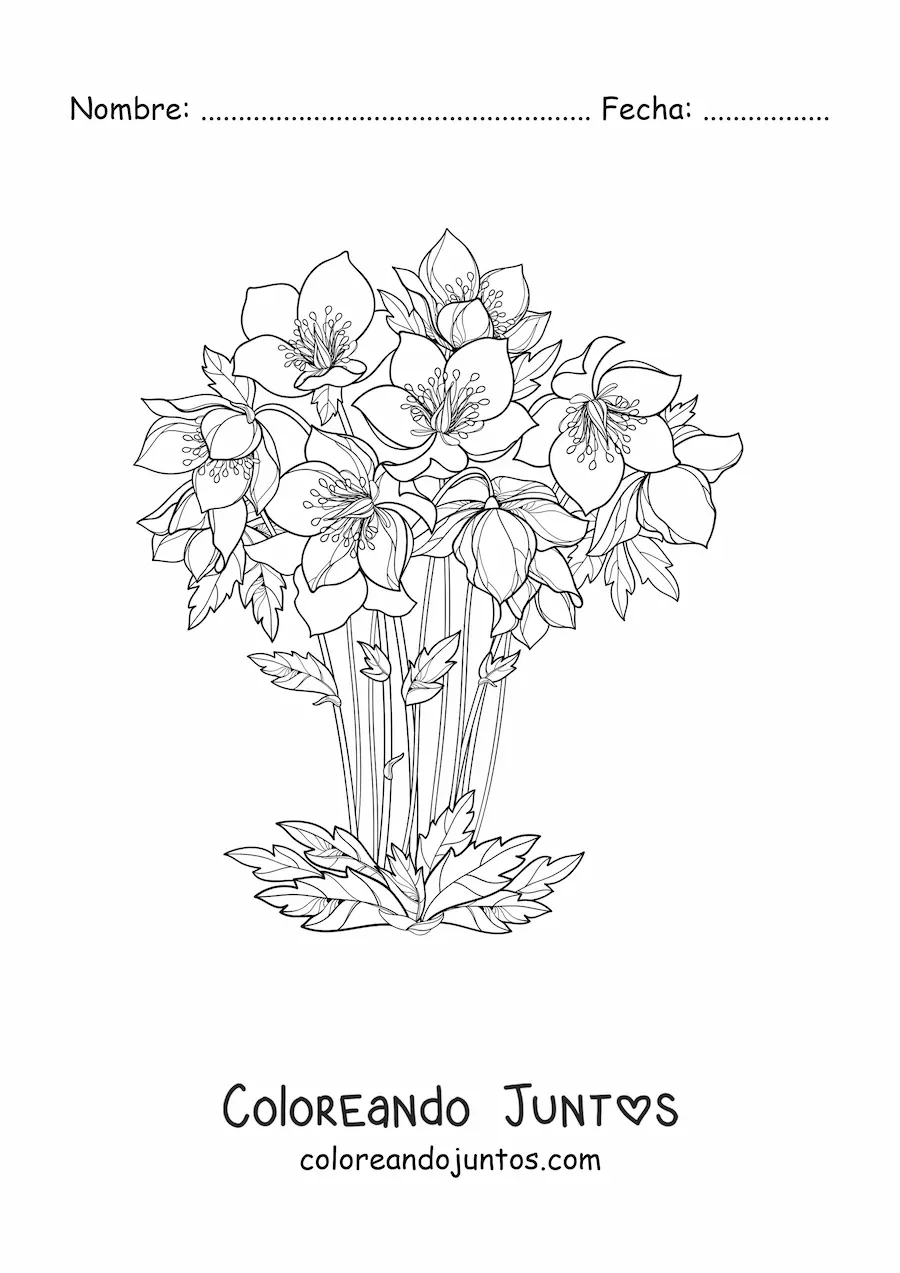 Imagen para colorear de un ramo de lirios hermosos en un florero