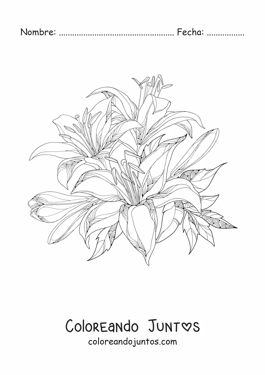 Imagen para colorear de un racimo de lirios realistas con hojas