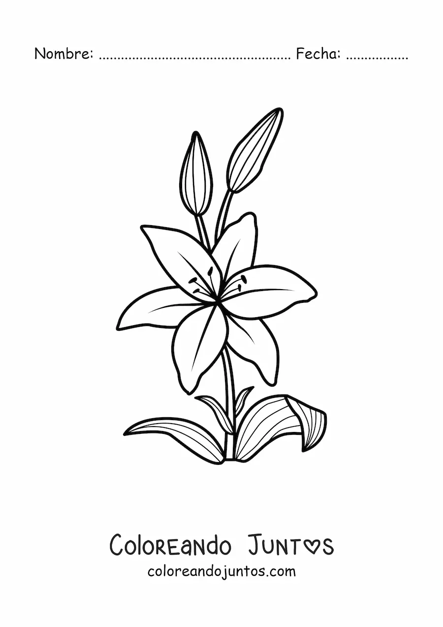Imagen para colorear de un lirio sencillo con hojas