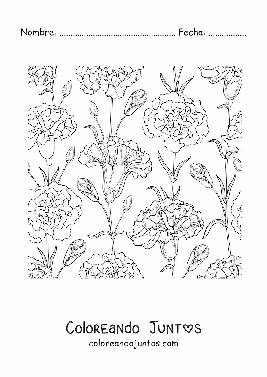 Imagen para colorear de varios claveles hermosos