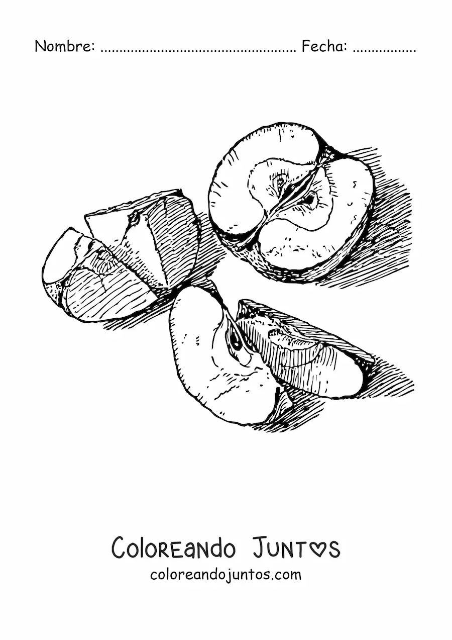 Imagen para colorear de varios trozos de manzana