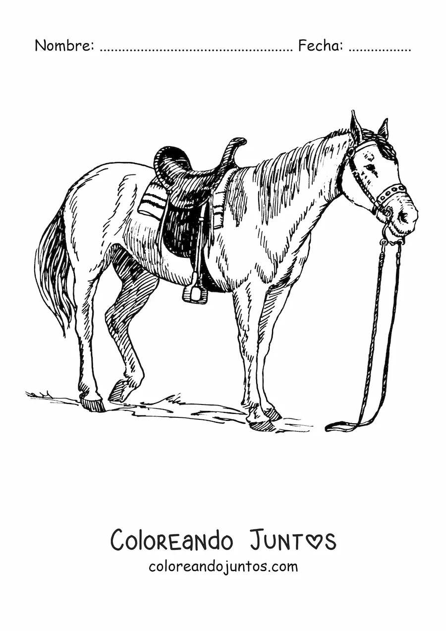 Imagen para colorear de un caballo ensillado con las riendas sueltas