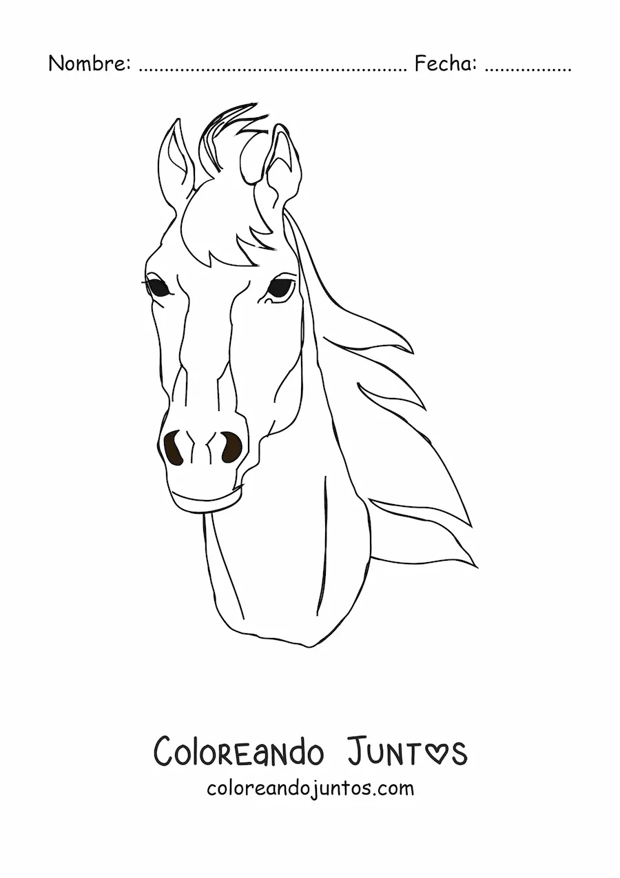 Imagen para colorear de una cabeza de caballo mirando de frente