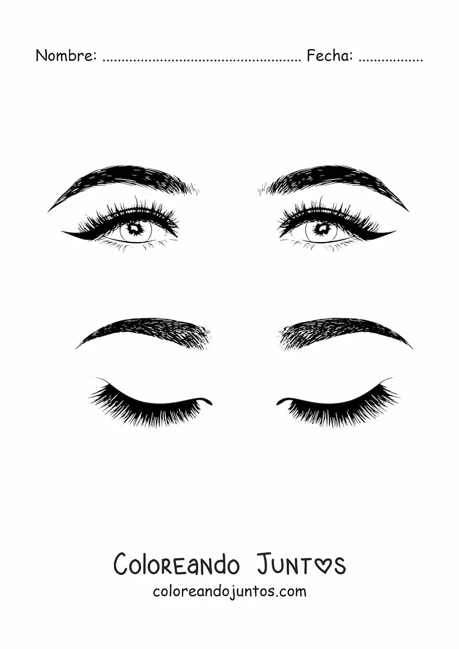 Imagen para colorear de dos pares de ojos y cejas realistas de mujer con hermoso maquillaje