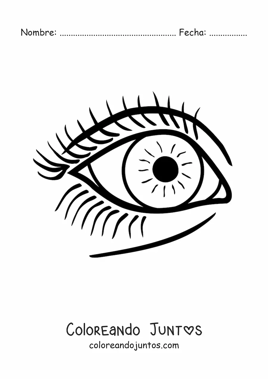 Imagen para colorear de un ojo grande con pestañas