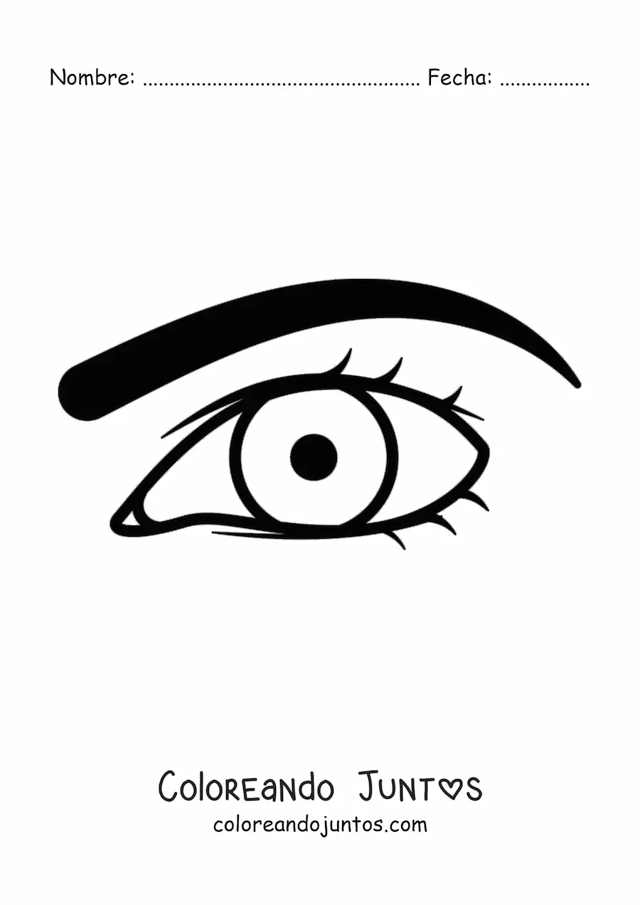 Imagen para colorear de un ojo masculino con ceja