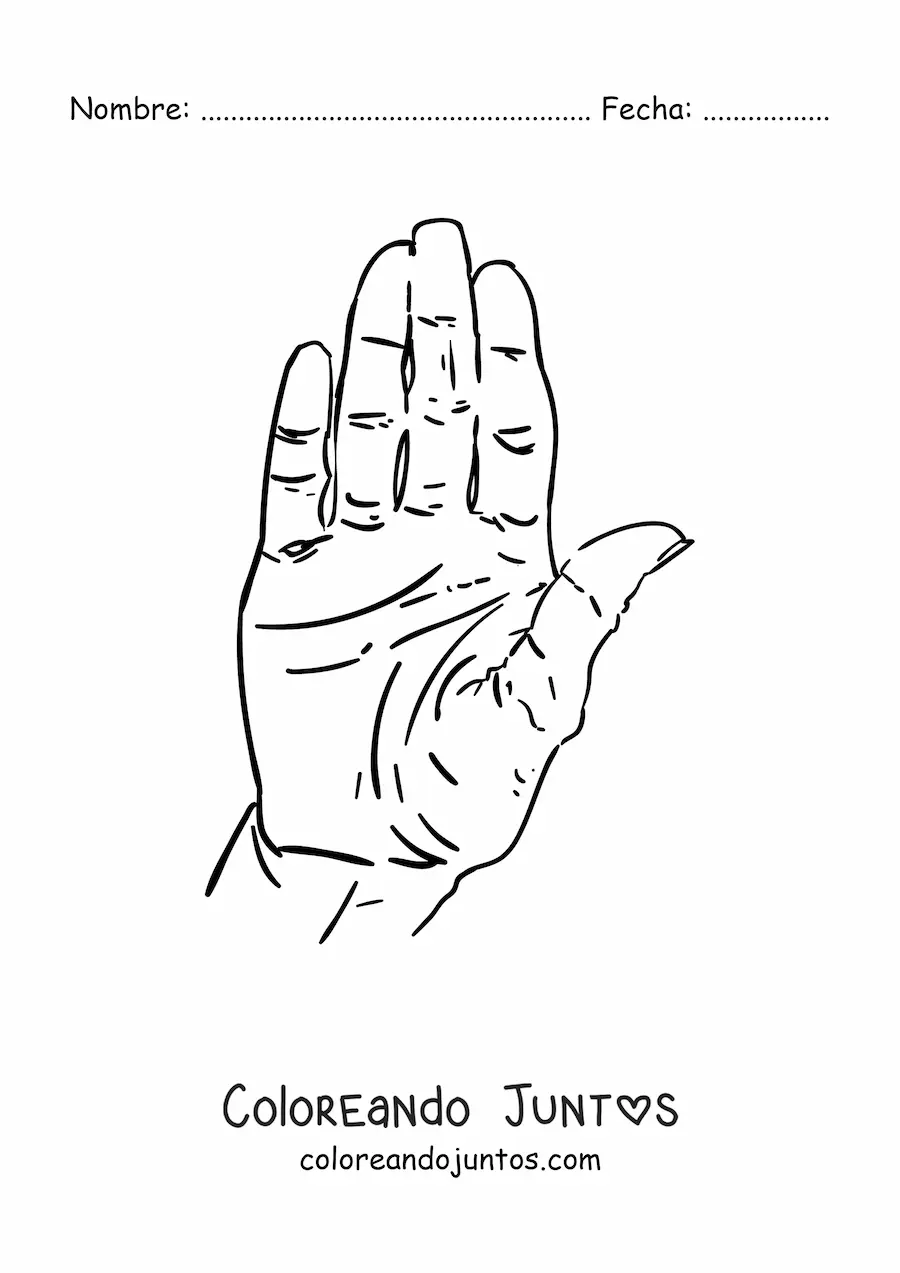 Imagen para colorear de la palma de la mano