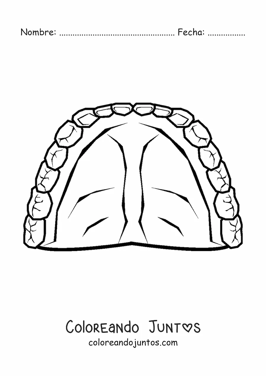 Imagen para colorear de una dentadura humana