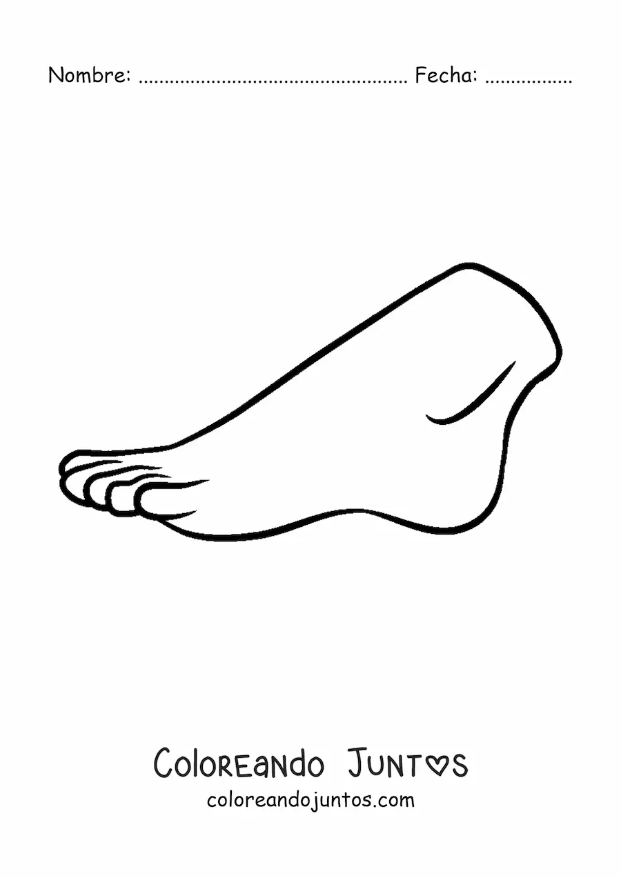 Imagen para colorear de un pie humano