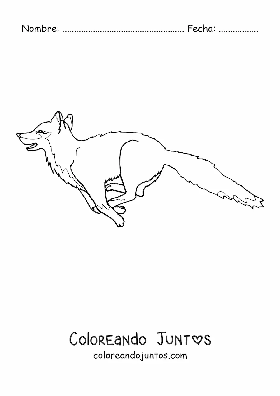 Imagen para colorear de un zorro salvaje saltando con la boca abierta