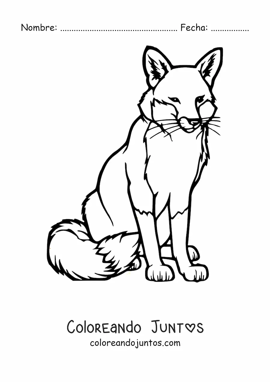 Imagen para colorear de un zorro salvaje sentado