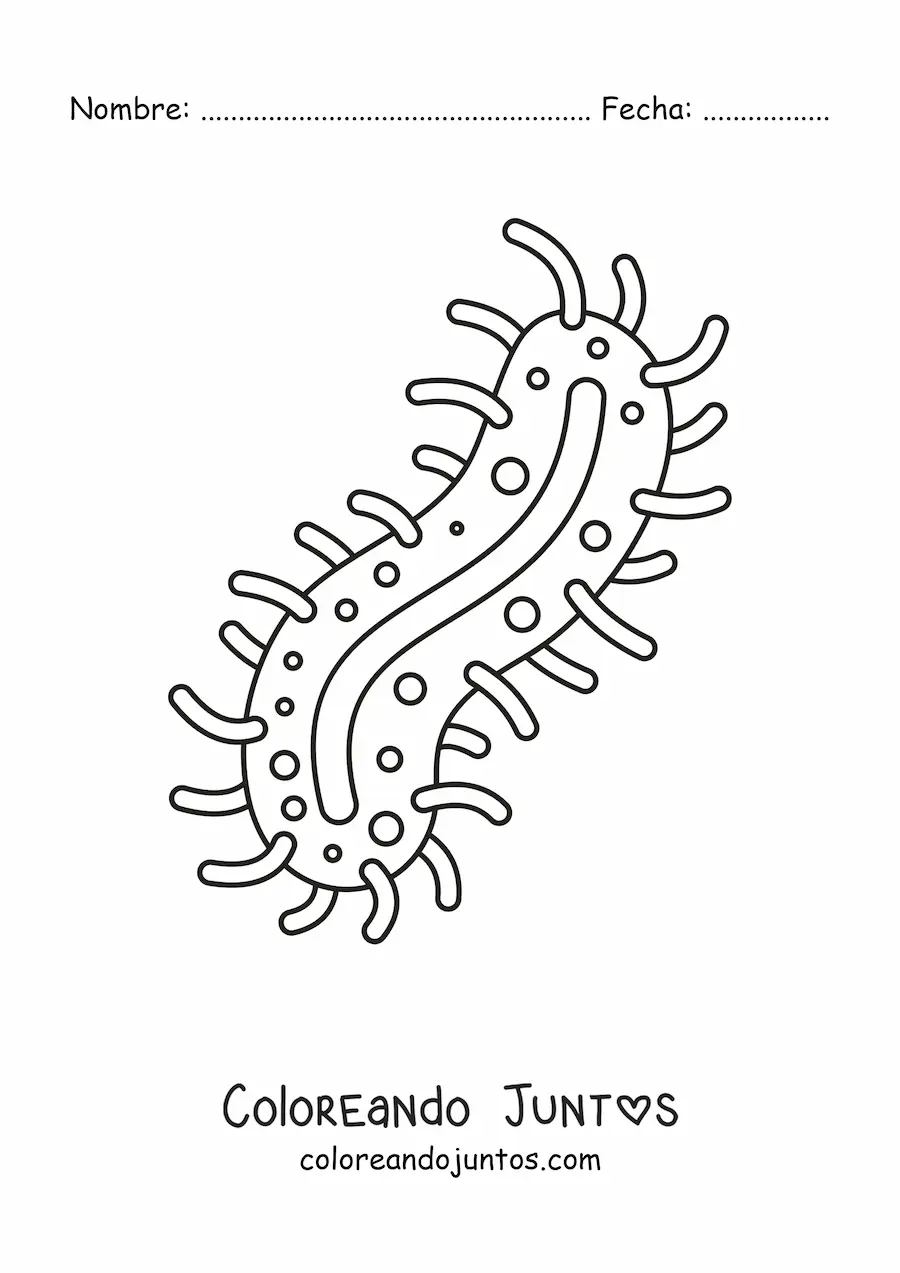 Imagen para colorear de una bacteria