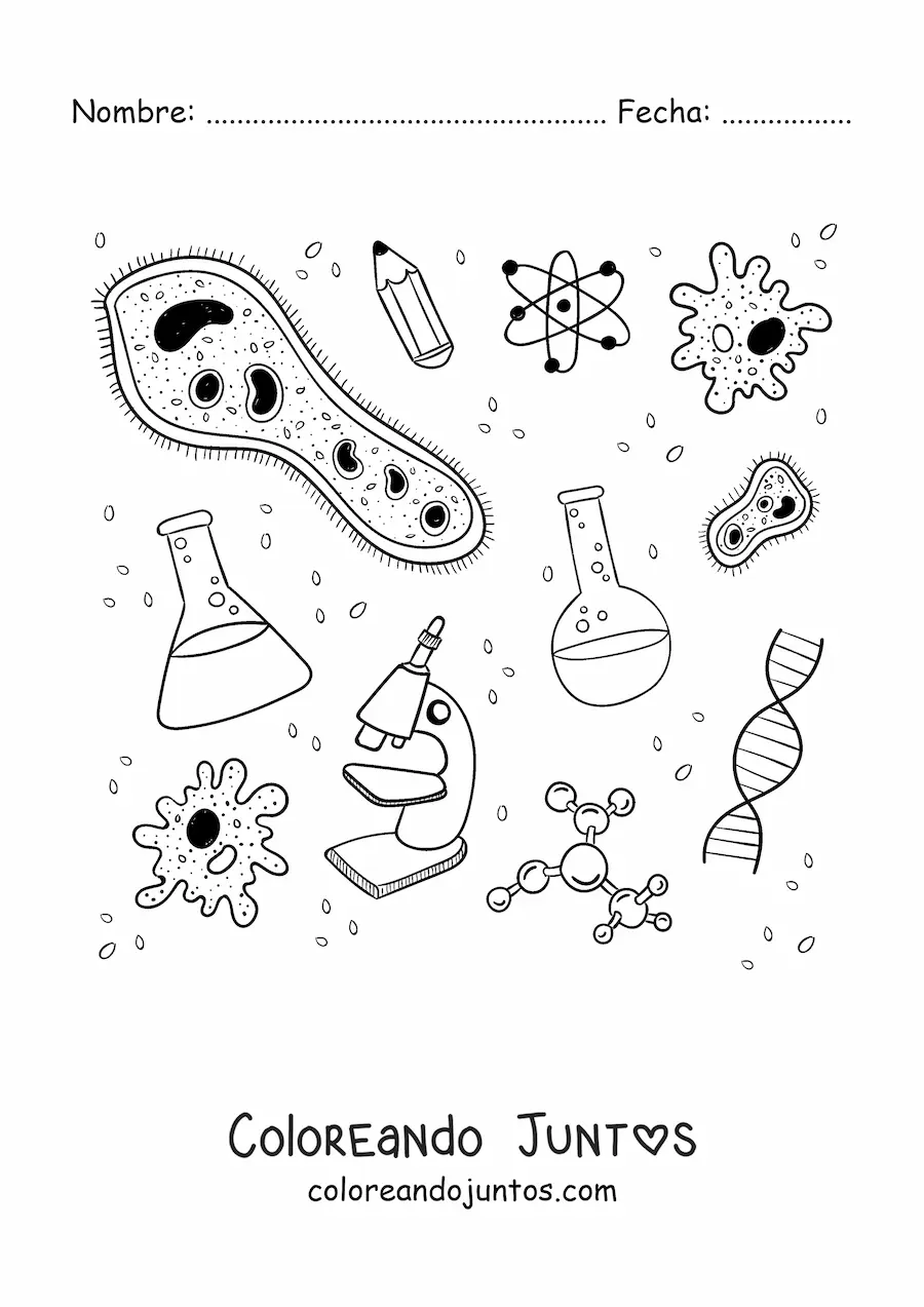 Imagen para colorear de un ícono de biología celular