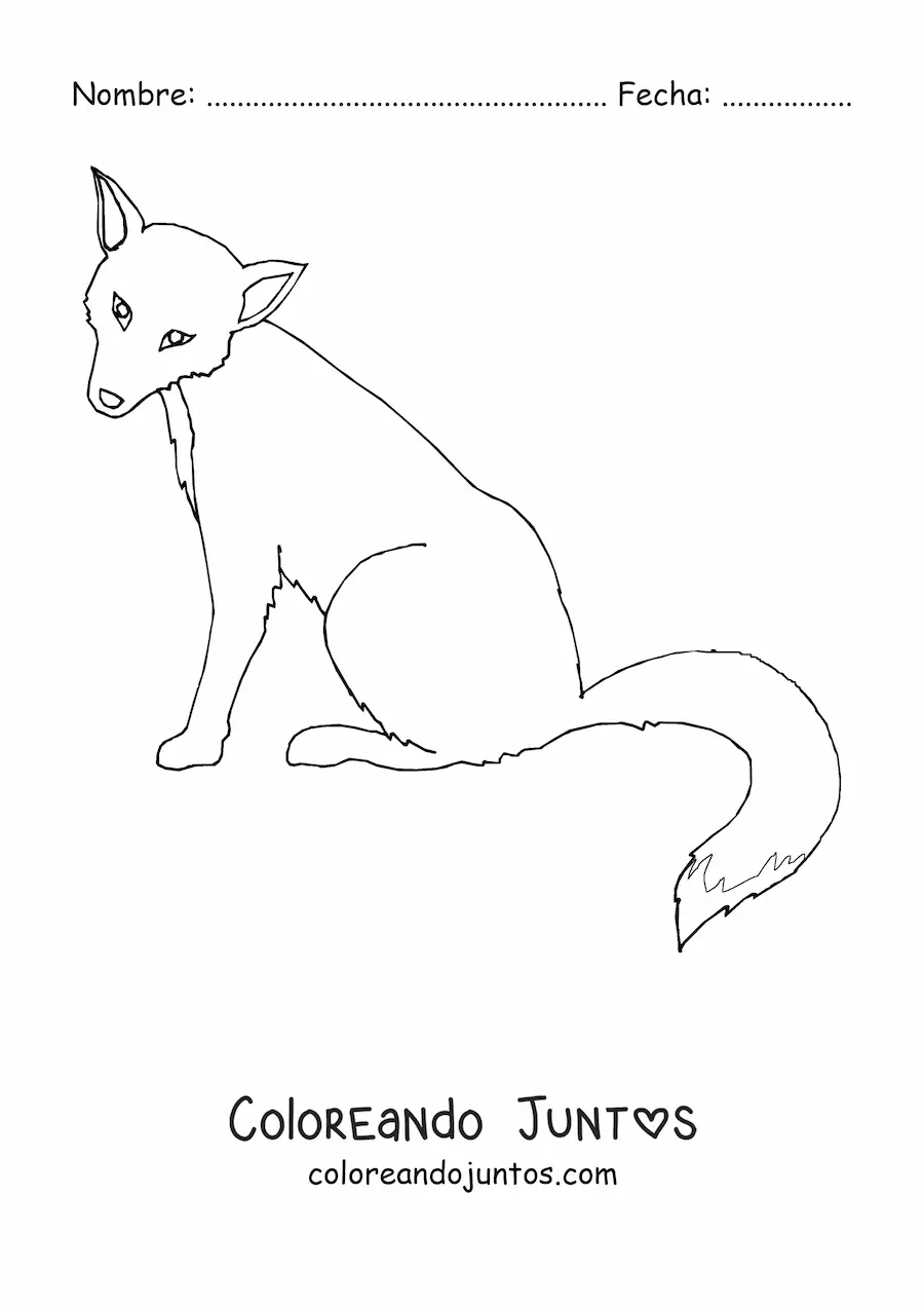 Imagen para colorear de un zorro salvaje sentado de perfil con la cabeza girada hacia el frente