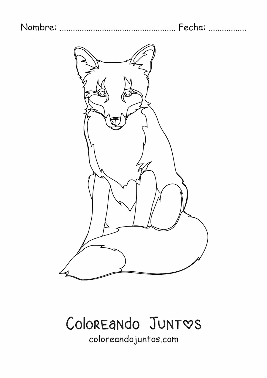 Imagen para colorear de un zorro salvaje sentado de frente