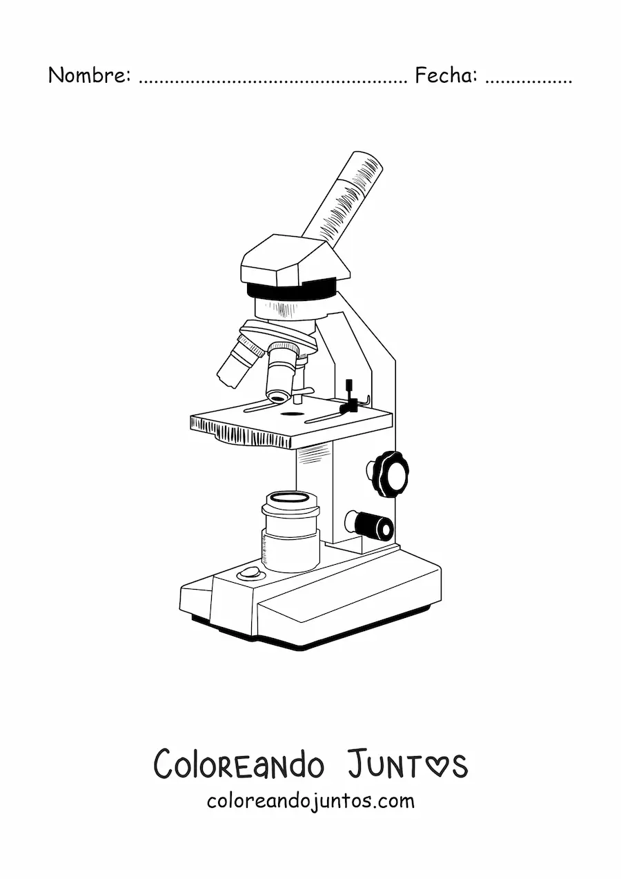 Imagen para colorear de las partes de un microscopio compuesto moderno