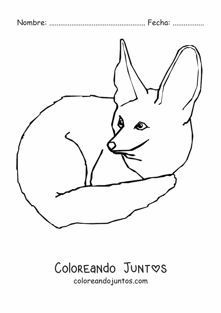 Imagen para colorear de un zorro del desierto agazapado