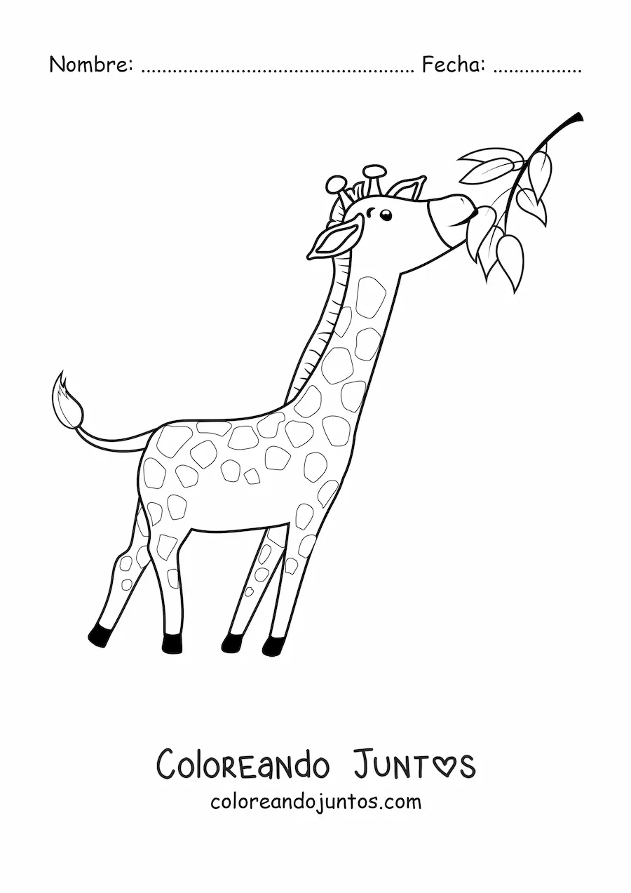 Imagen para colorear de una jirafa animada comiendo hojas estirando el cuello