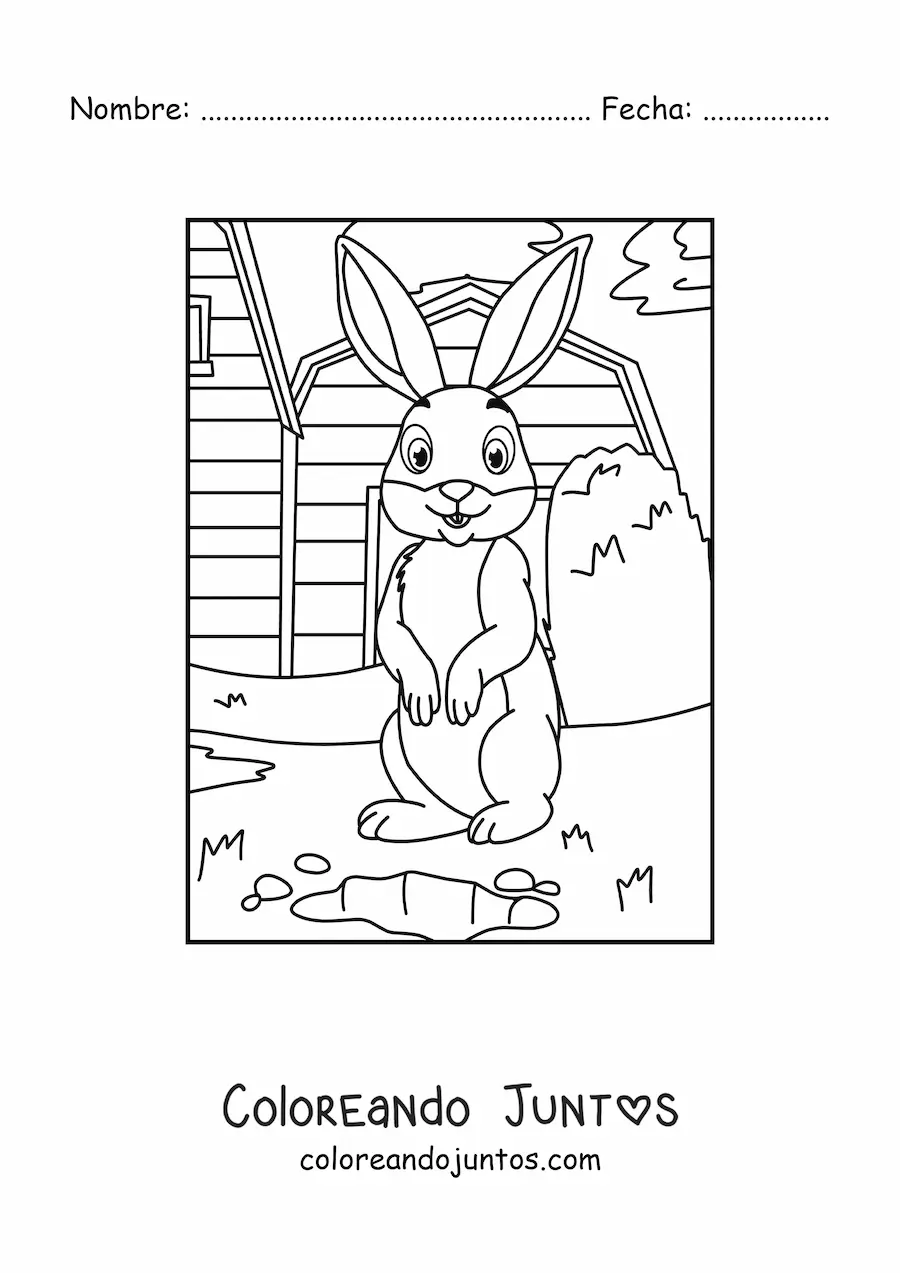 Imagen para colorear de un conejo animado en la granja