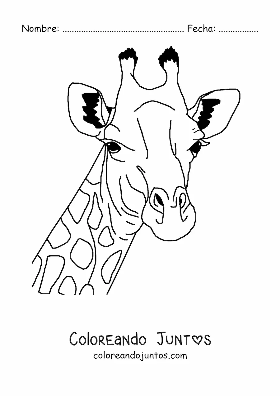 Imagen para colorear de la cara de una jirafa salvaje