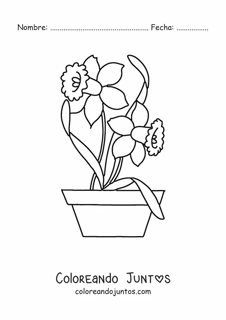 Imagen para colorear de una flor de Mayo