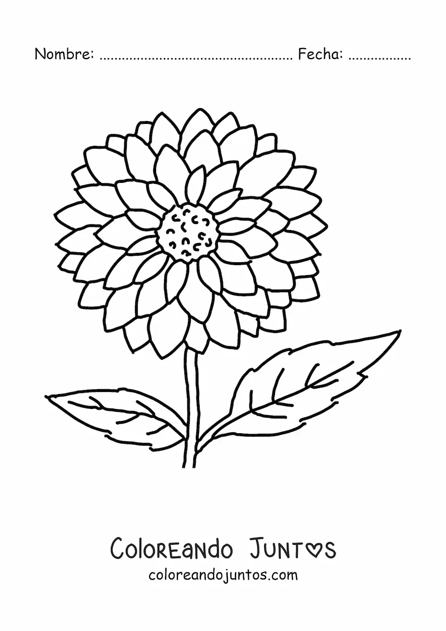 Imagen para colorear de una flor de primavera