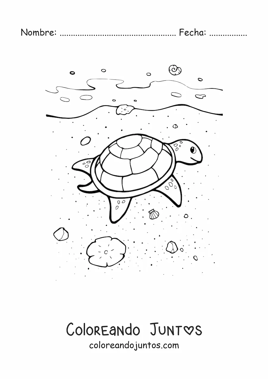 Imagen para colorear de una tortuga marina en la playa