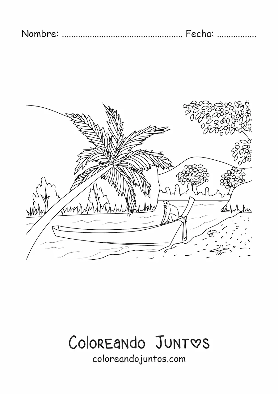 Imagen para colorear de una bahía tropical con palmeras
