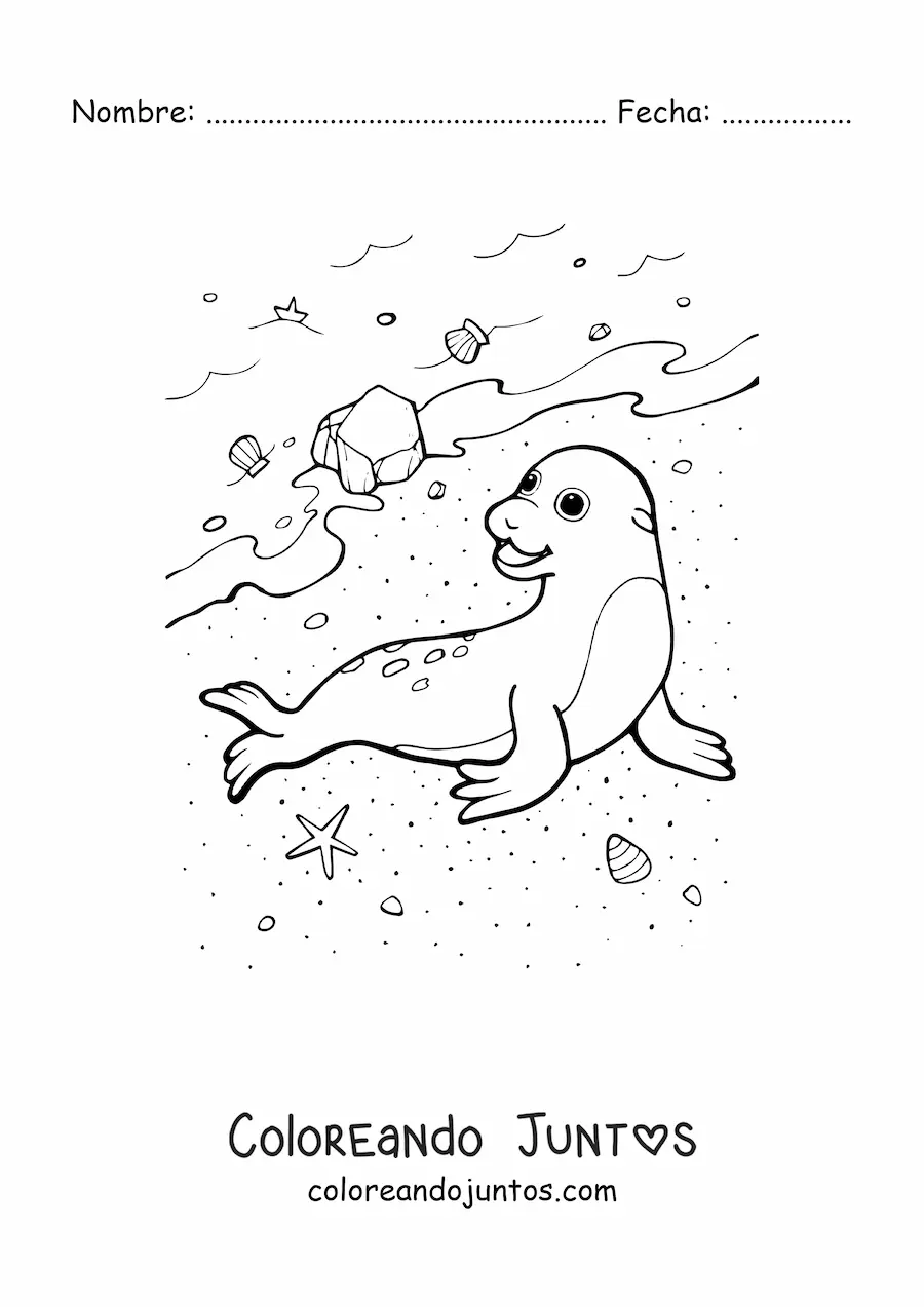 Imagen para colorear de una foca en orilla de playa