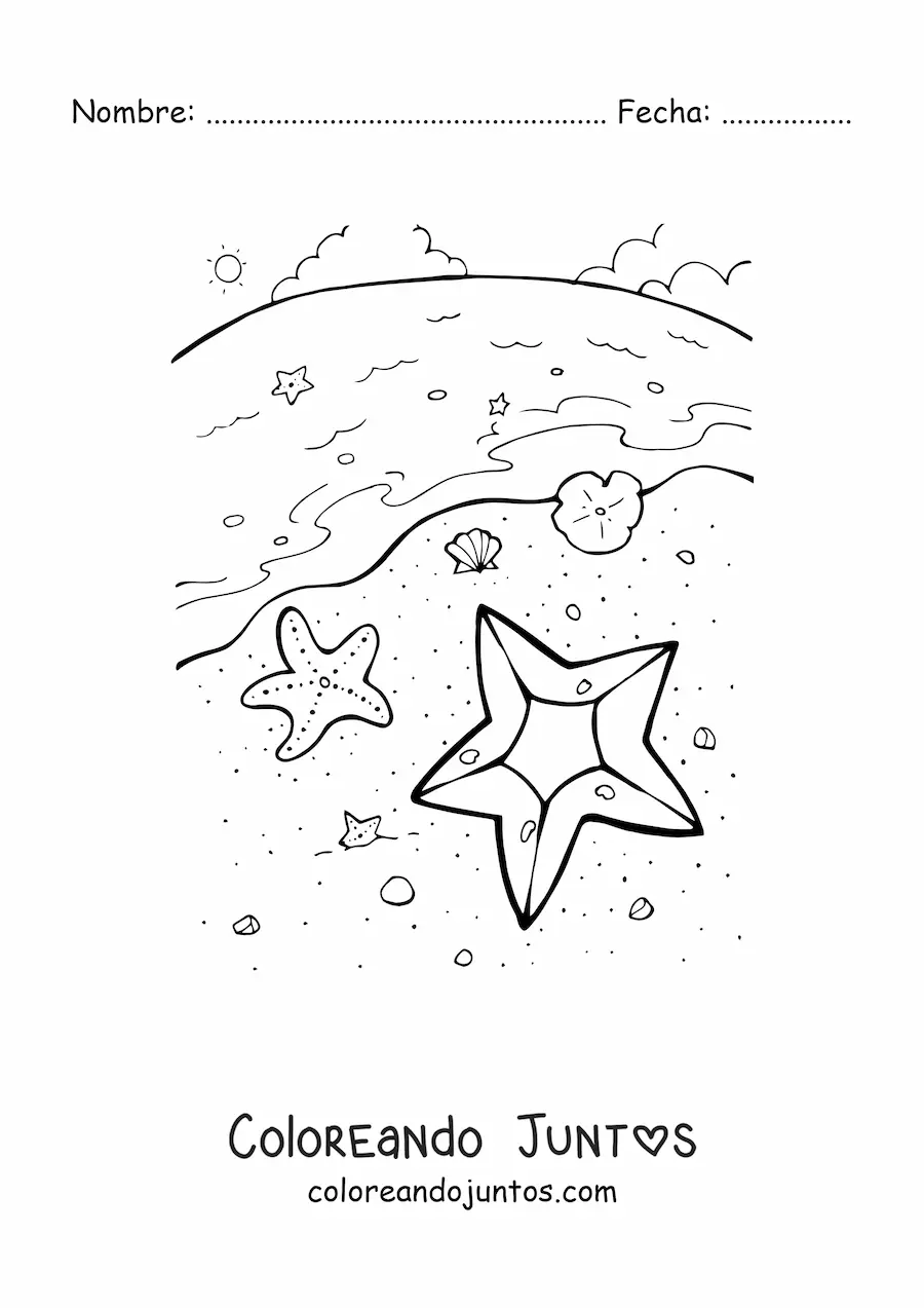Imagen para colorear de varias estrellas de mar en la orilla de la playa