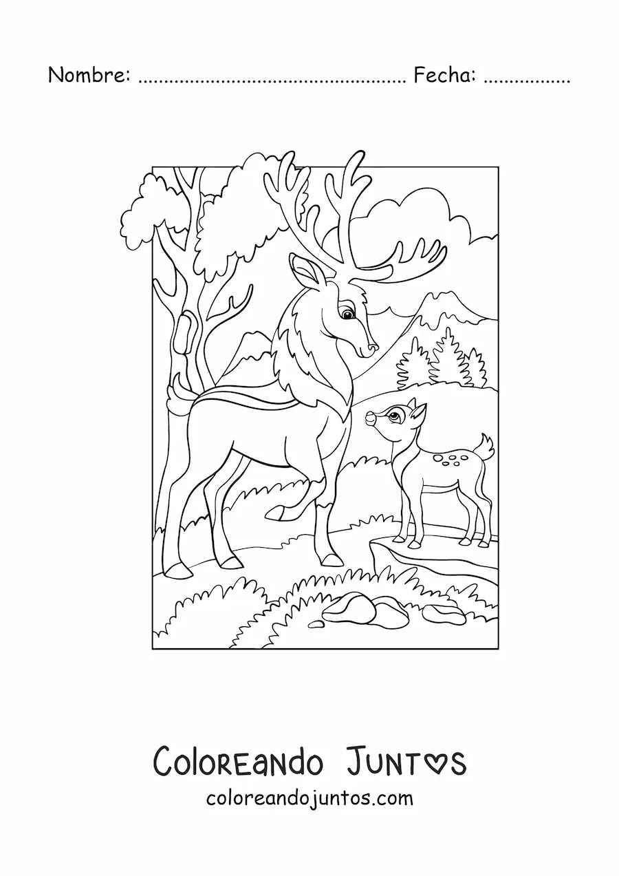 Imagen para colorear de un venado adulto y un venado pequeño en el bosque