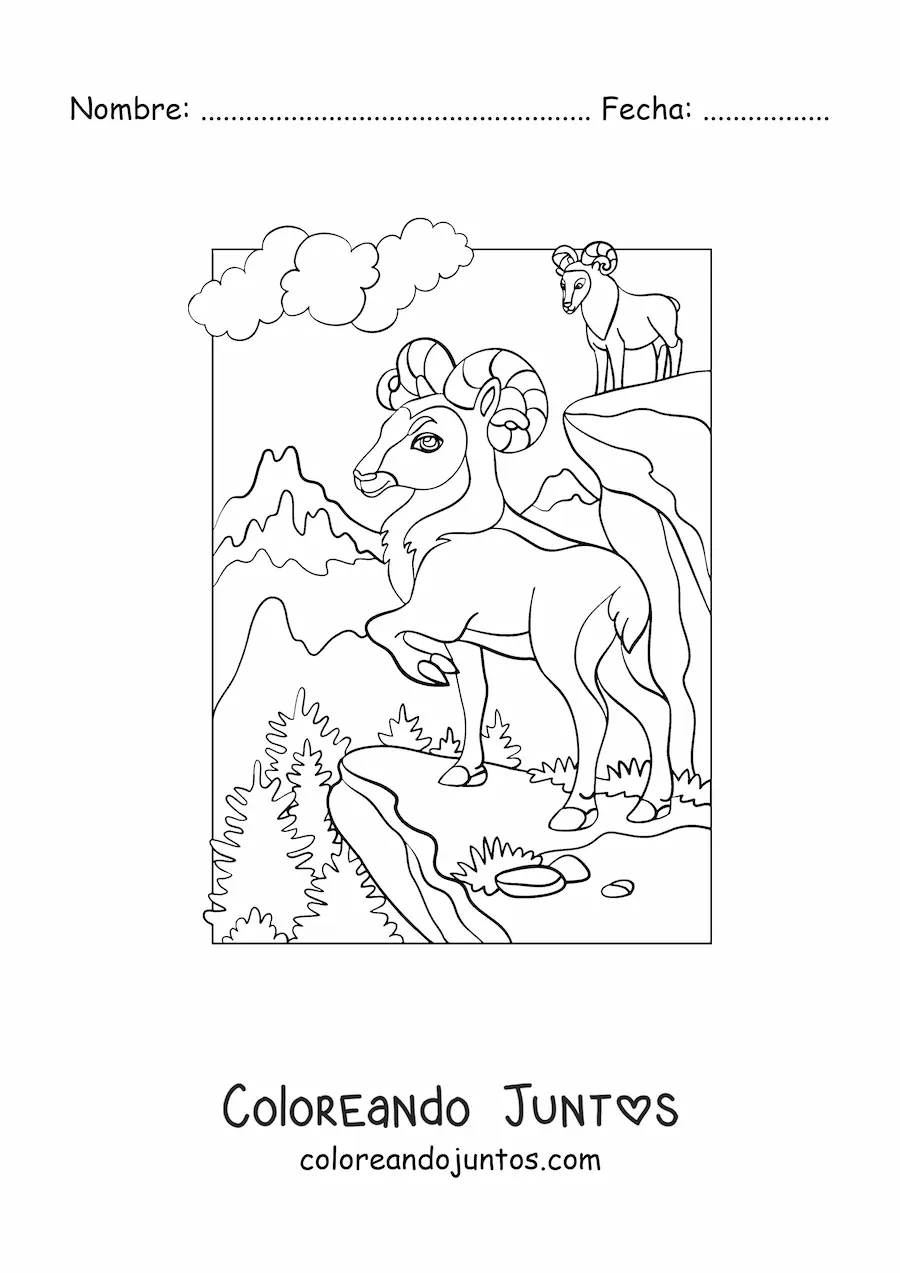 Imagen para colorear de dos cabras de montaña