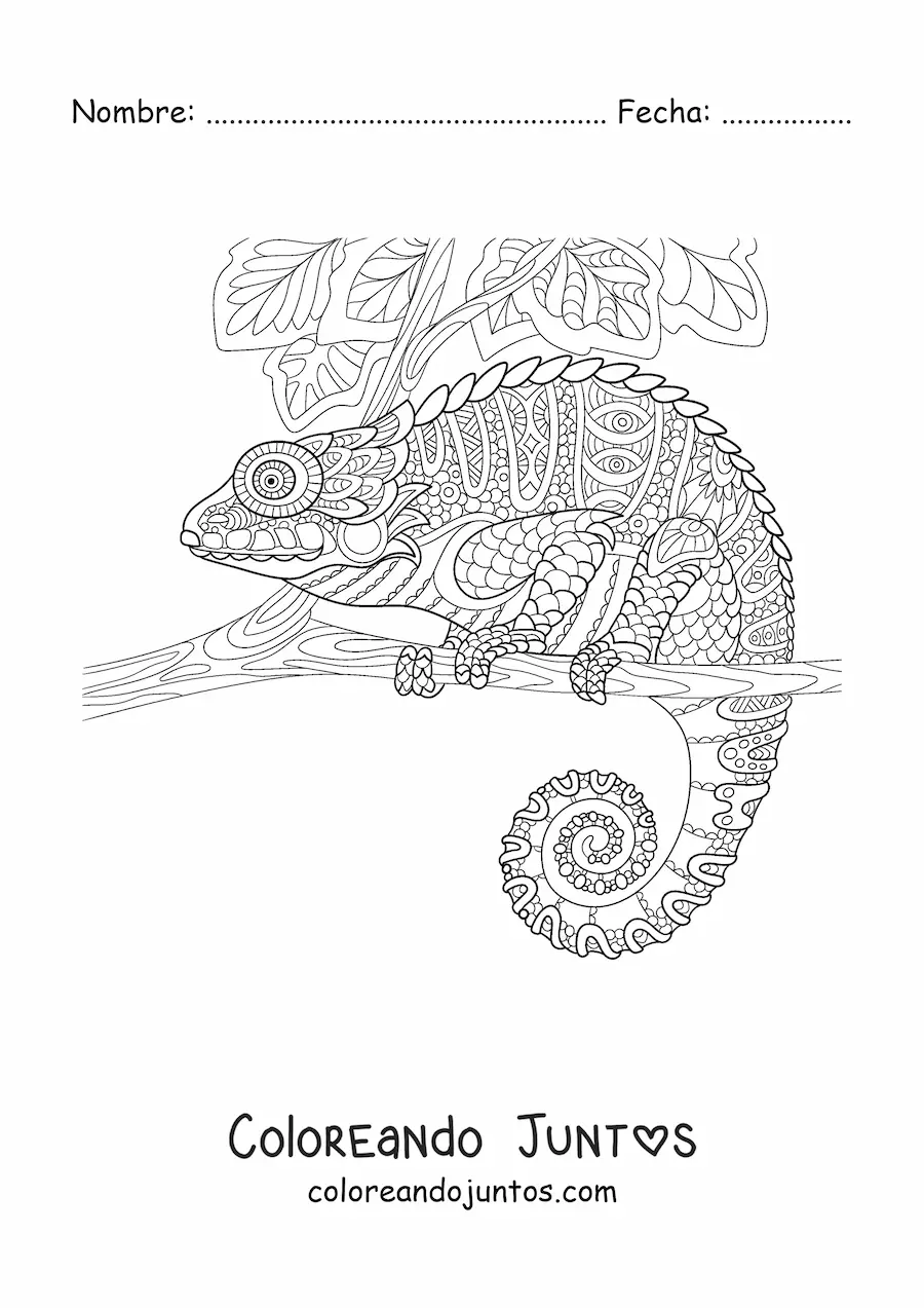 Imagen para colorear de un mandala con diseño de camaleón en selva