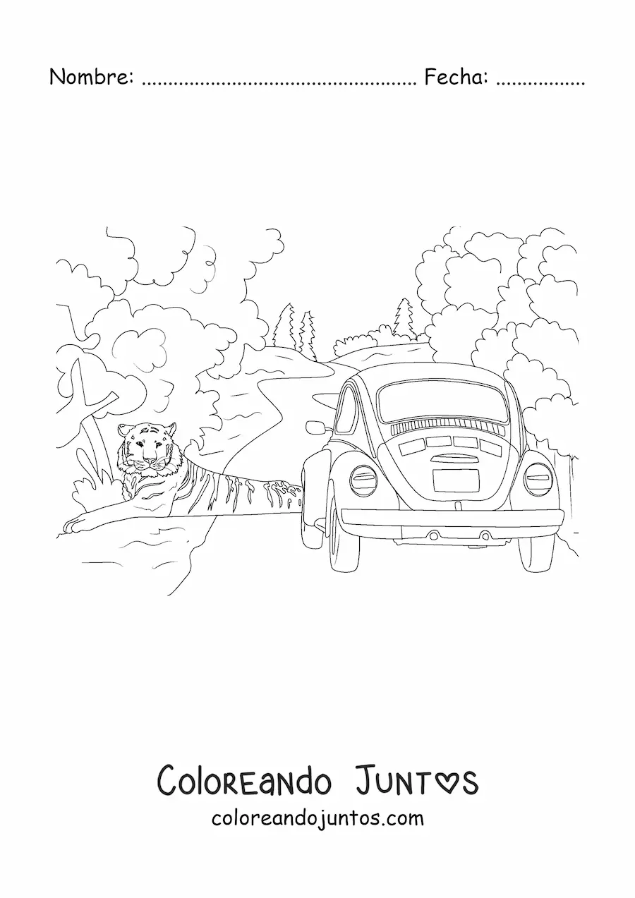 Imagen para colorear de un tigre salvaje al lado de un auto en una ruta entre la selva