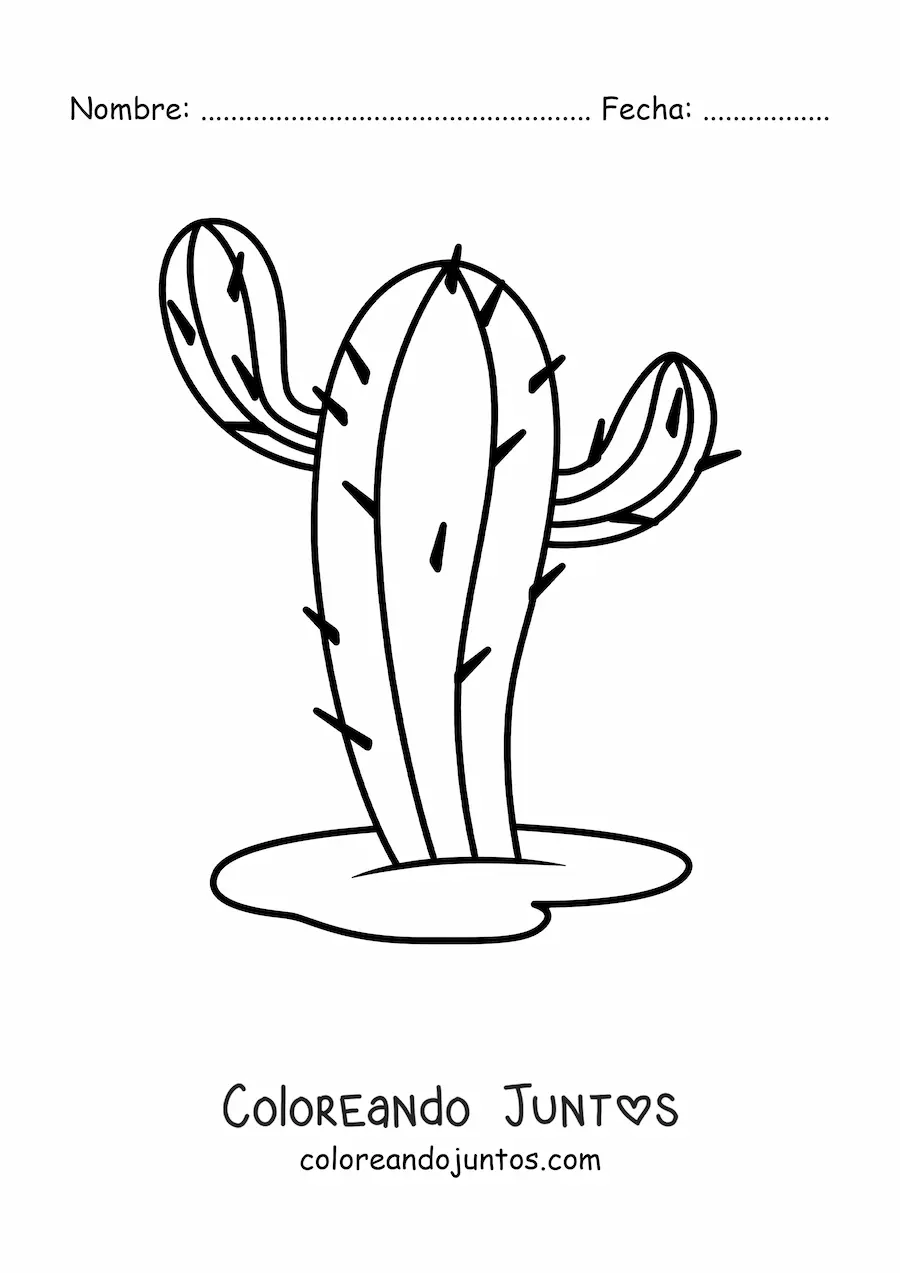Imagen para colorear de un cactus
