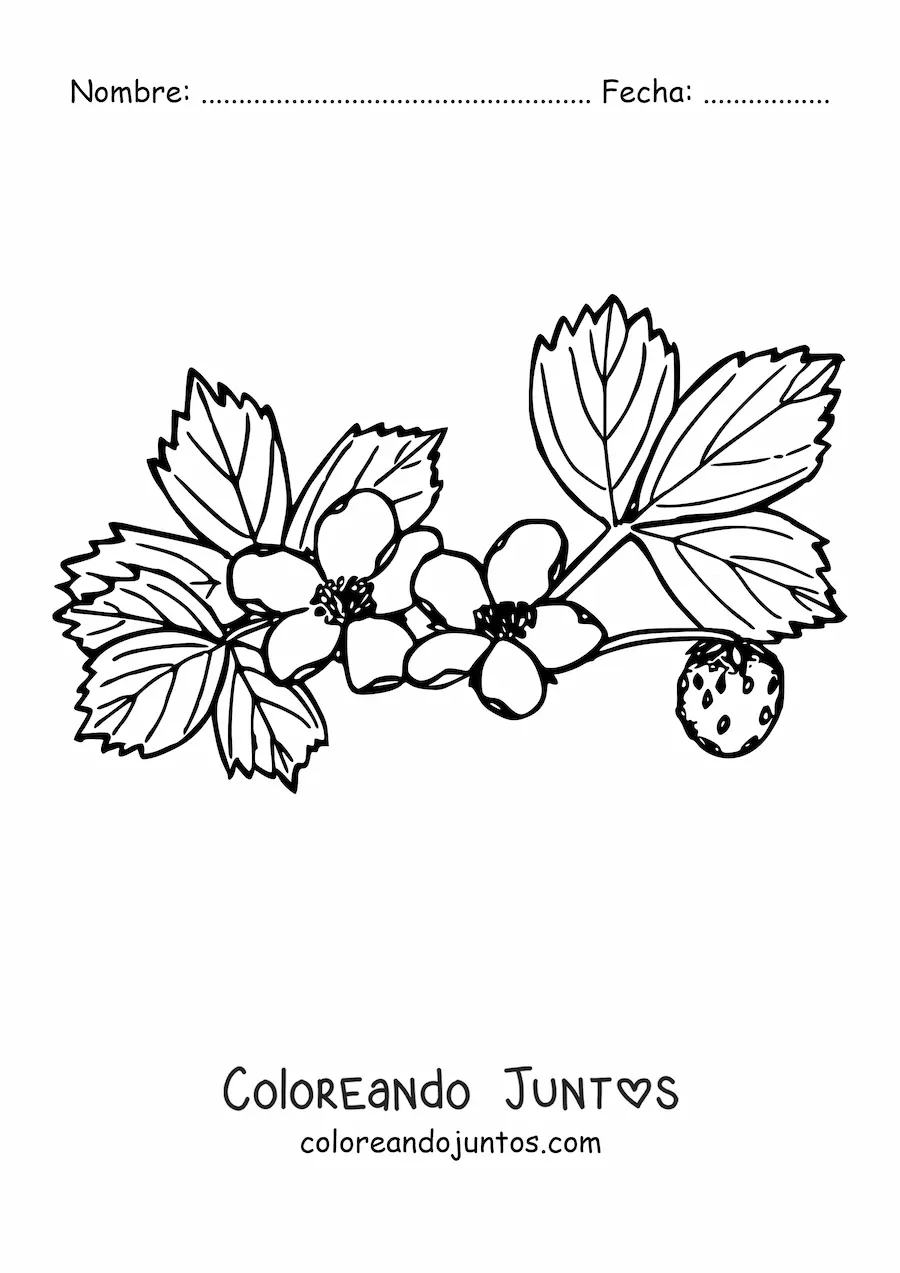 Imagen para colorear de la rama de un arbusto de fresas con flores