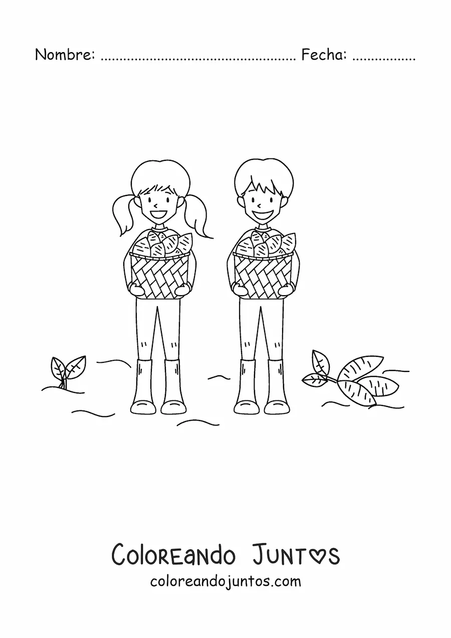 Imagen para colorear de dos niños cosechando papas