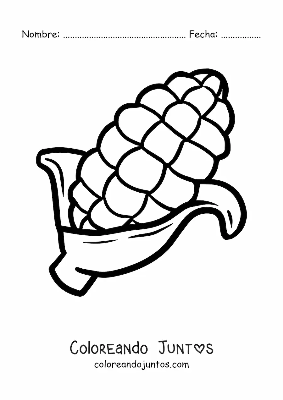 Imagen para colorear de una mazorca de maíz grande