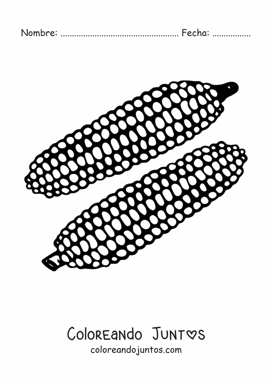 Imagen para colorear de dos mazorcas de maíz