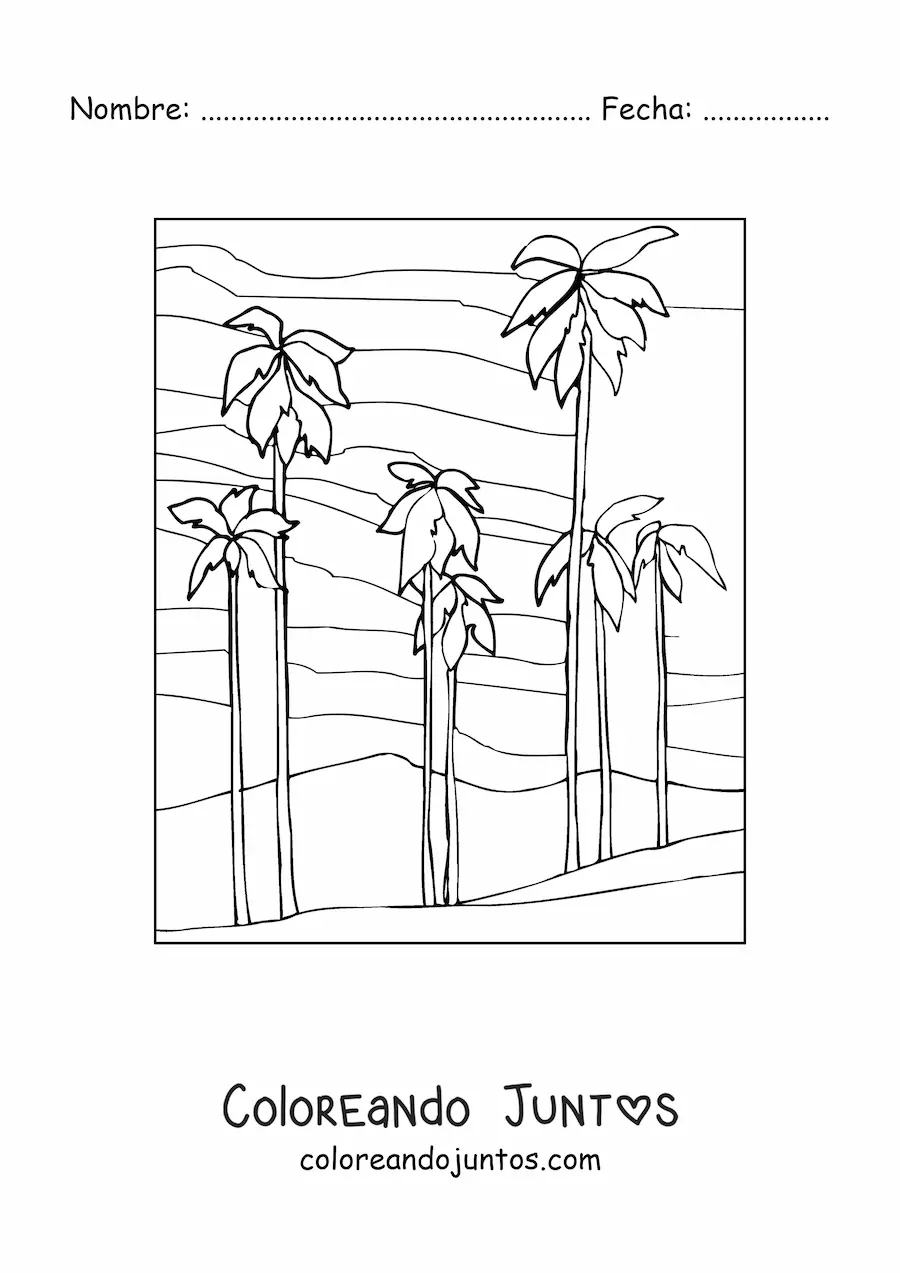 Imagen para colorear de un desierto con palmeras