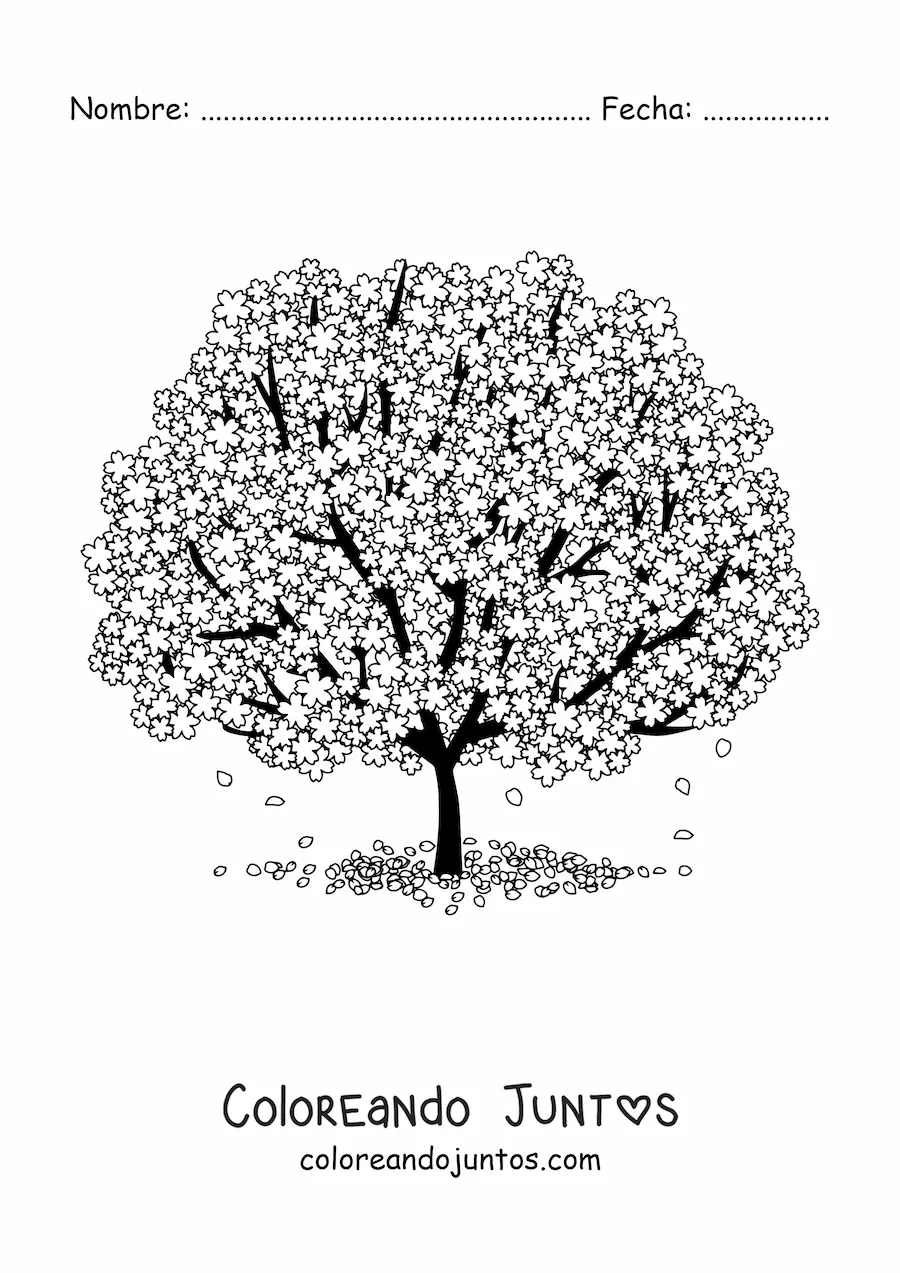 Imagen para colorear de un árbol de cerezo en flor