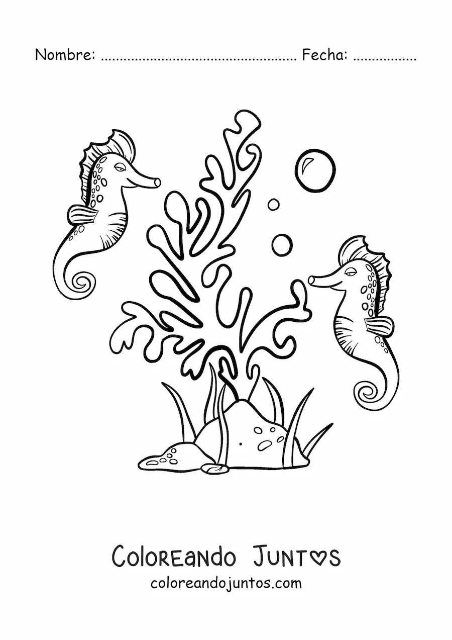 Imagen para colorear de unas algas y dos caballitos de mar