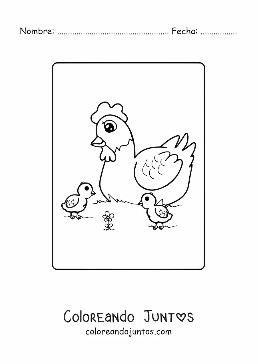 Imagen para colorear de una mamá gallina con sus polluelos