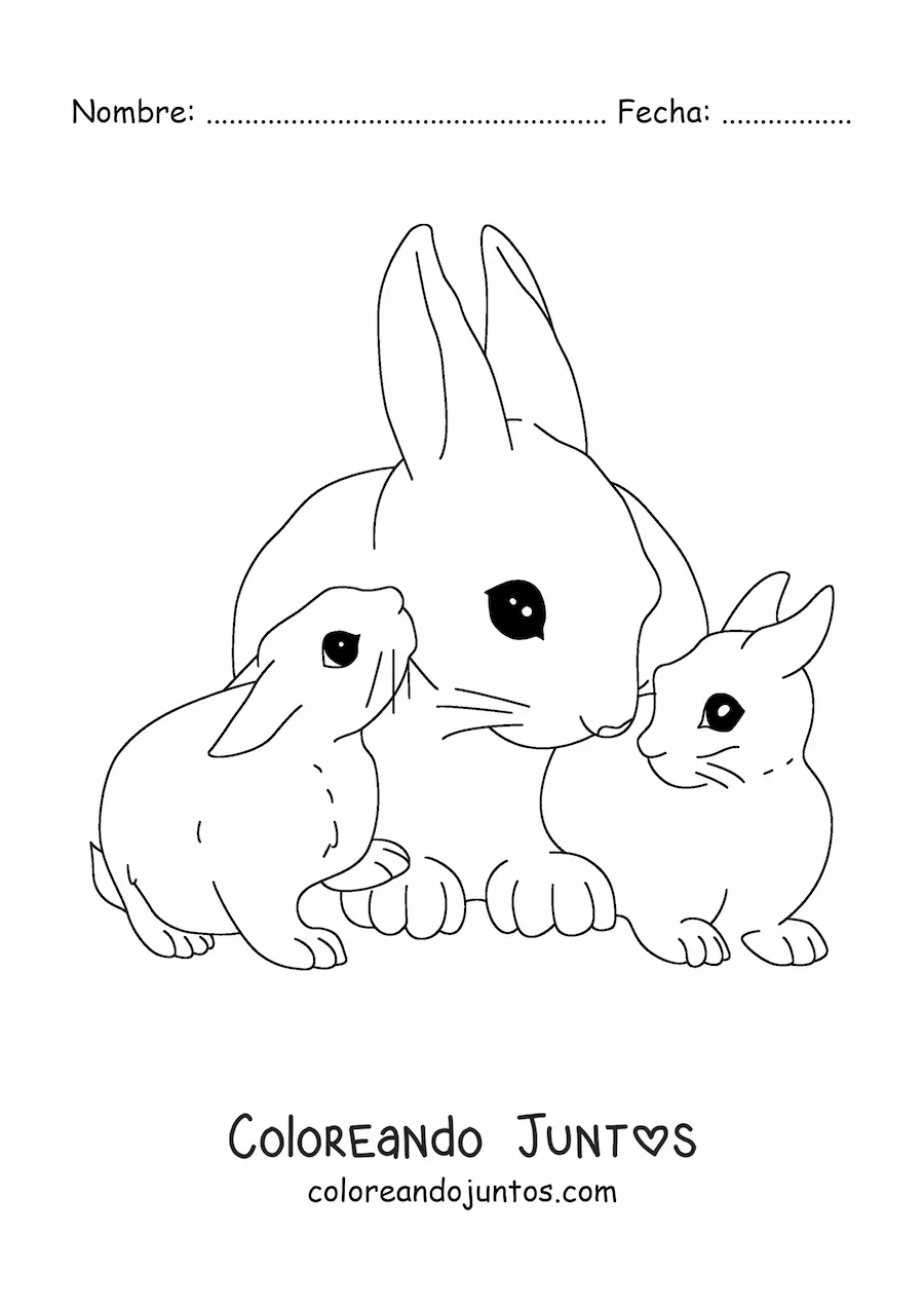 Imagen para colorear de una mamá coneja con sus crías