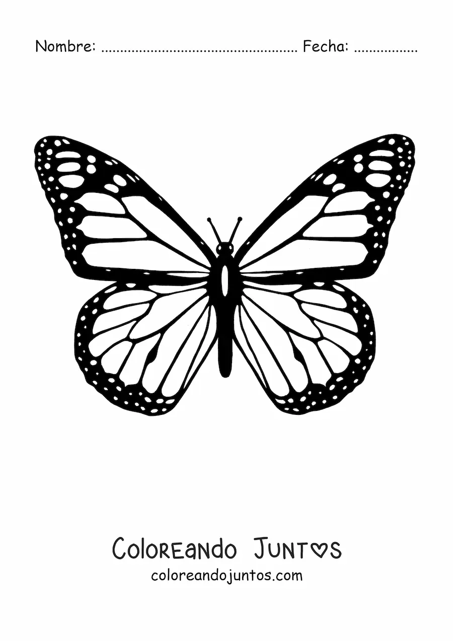 Imagen para colorear de una mariposa monarca con alas abiertas