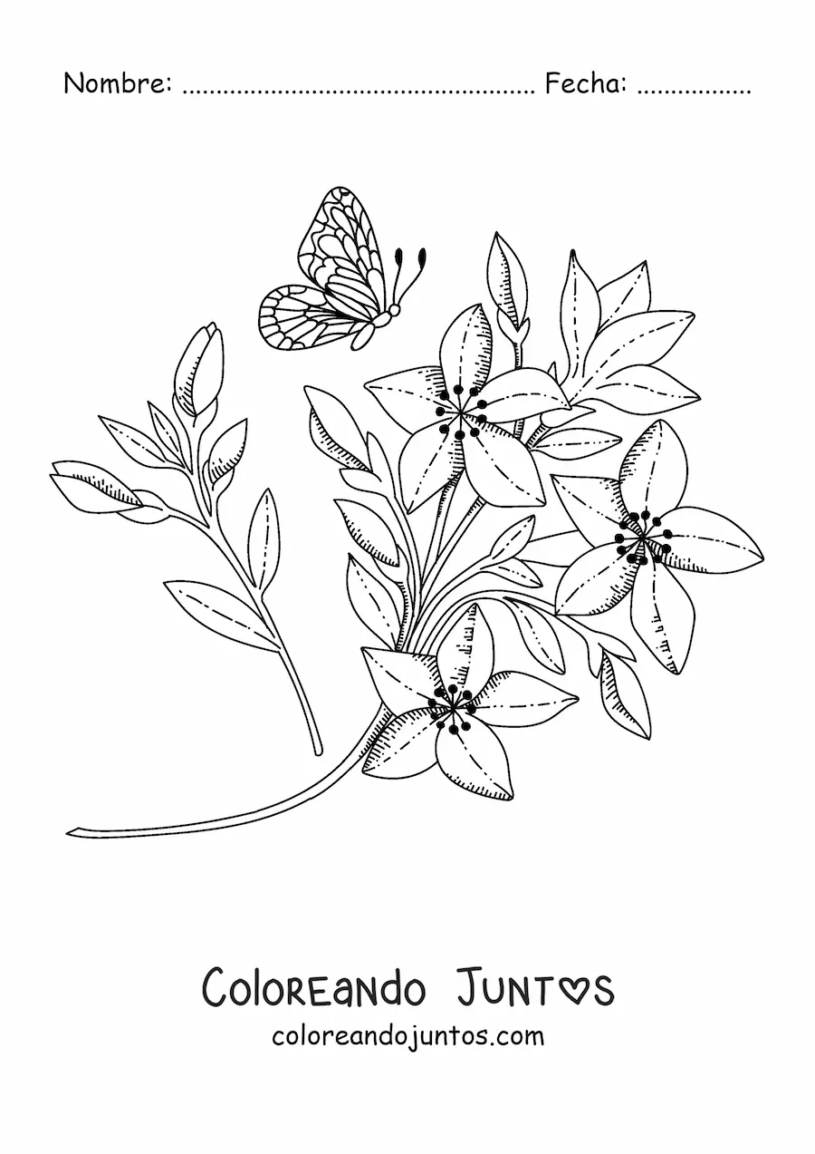 Imagen para colorear de una mariposa volando hacia unas flores