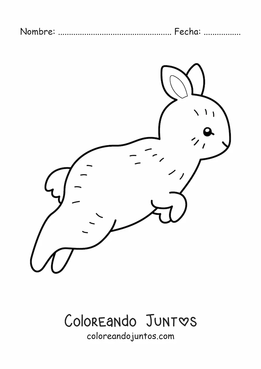 Imagen para colorear de un conejo tierno de perfil saltando
